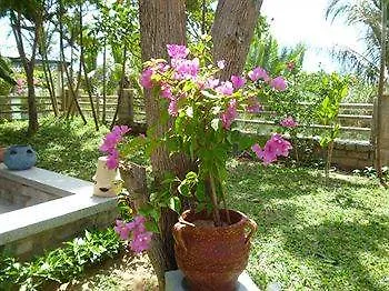 Rock Villa Hoi An